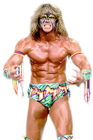 Dingo Warrior