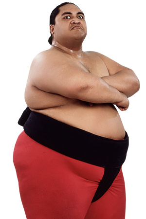 Yokozuna