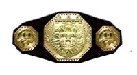 AAA Heavyweight Championship