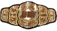 AEW World Championship