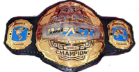 TNA World Heavyweight Championship