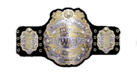 IWGP Heavyweight Championship